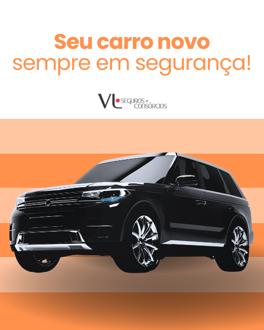 VL Corretora de Seguros - Imagem 3